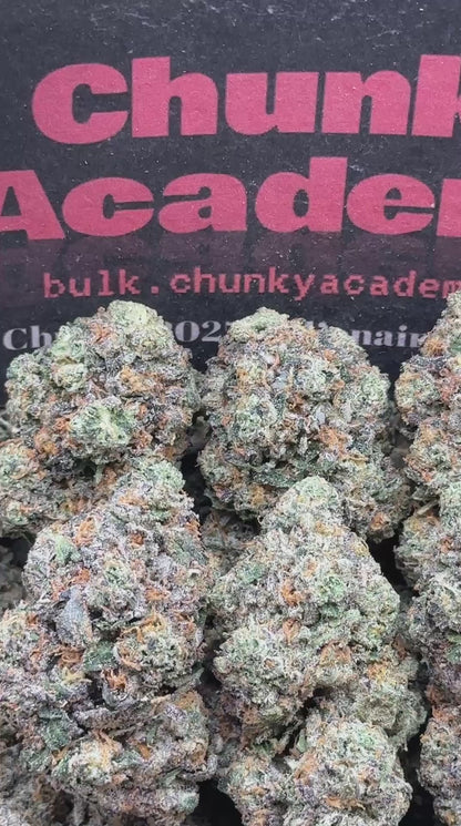 #AA605 - Gas Lantern (Indica)