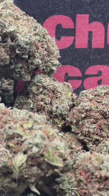 #B037- Rustic Grove (Sativa)
