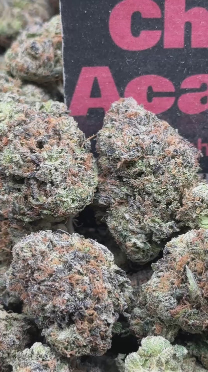 #A031 - Cherry Gelato (Indica)