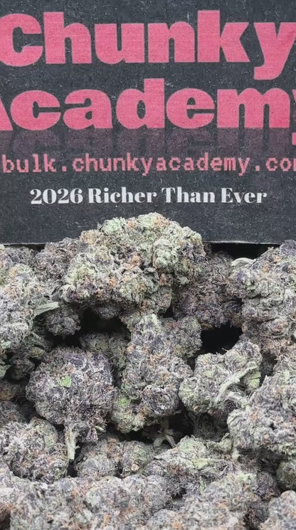 #EA513 - Orange Sherbet Pop (Hybrid)