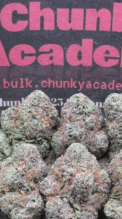 #AA849 - White Rabbit (Hybrid)