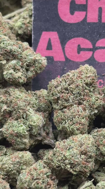#B046 - Highland Grove (Sativa)