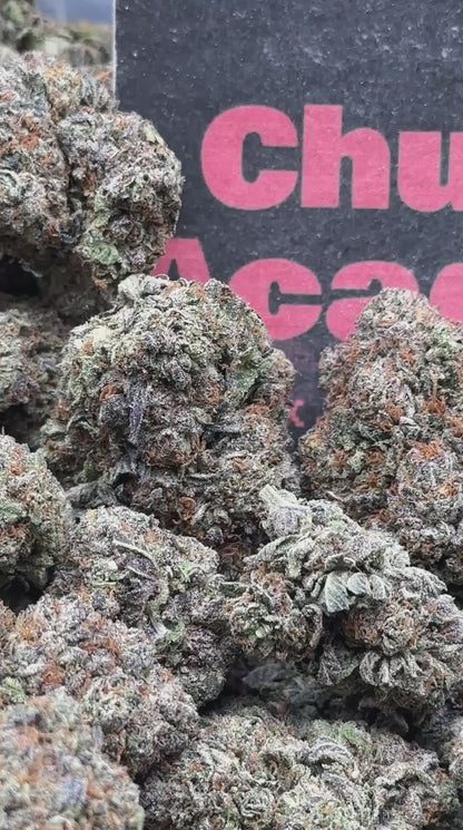 #IP066 - Stone Harbor (Indica)