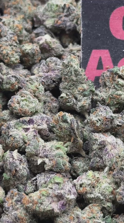 #S031 - Citrus Dream SM (Hybrid)