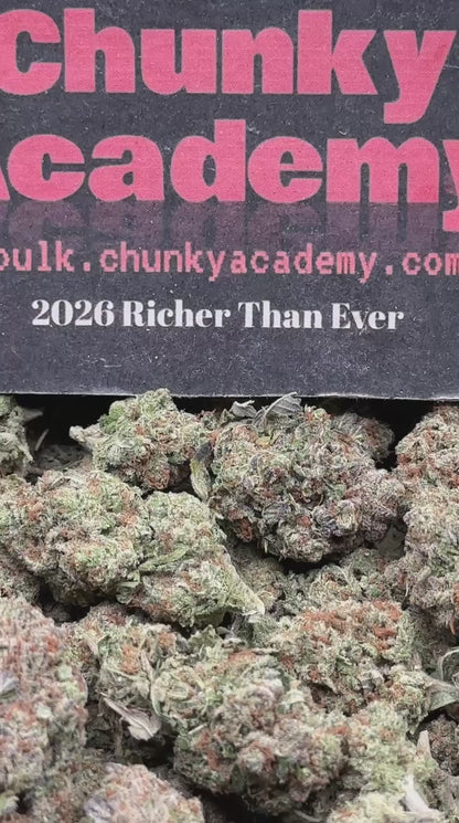 #FK141 - Sour Apple (Hybrid)