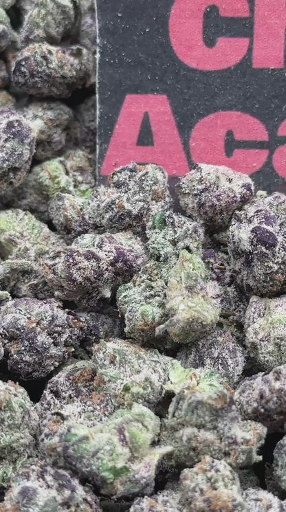 #S029 - Lemon Bloom SM (Sativa)