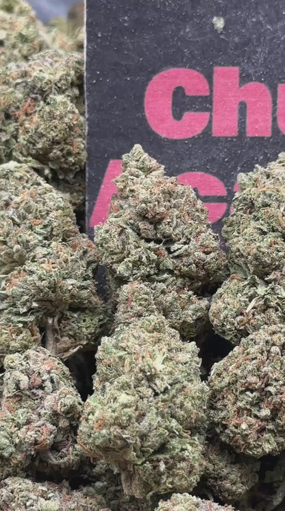 #IP008 - Birch Grove (Sativa)