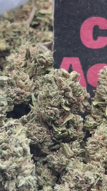 #L009- Forest Valley (Indica)