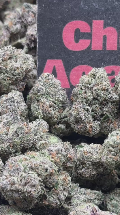 #A122 -Vanilla Zlushie (Indica)