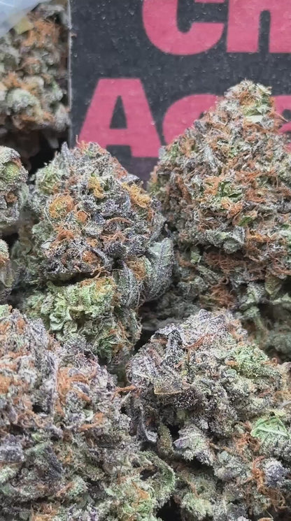 #IP039 - Candy Blossom (Hybrid)
