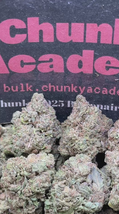 #L584 - Honey Biscuit (Hybrid)