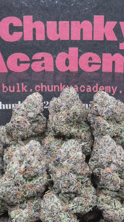 #AA777 - Gummy Zorbet