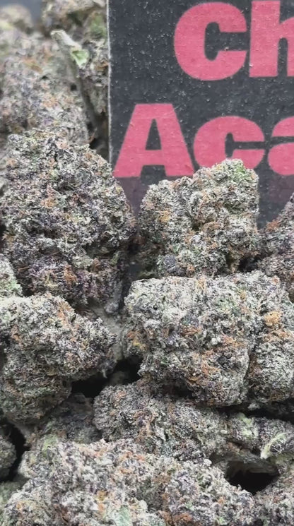 #A073 - Platinum Mochi (Hybrid)