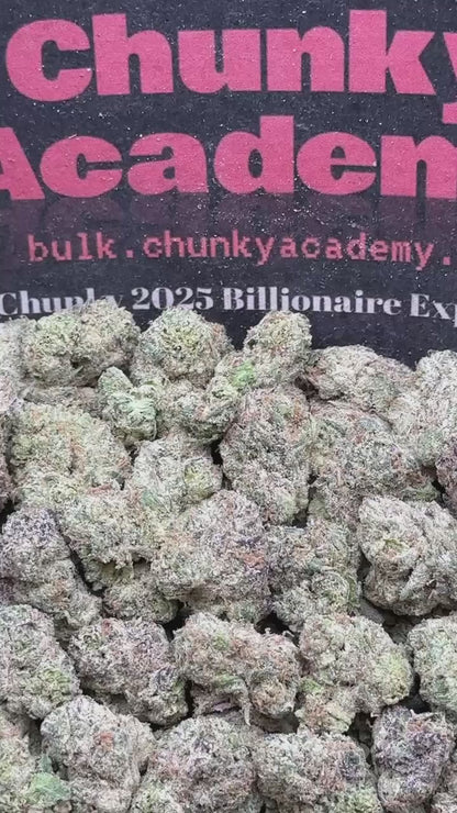 #SS236 - Blue Cherry SM (Hybrid)