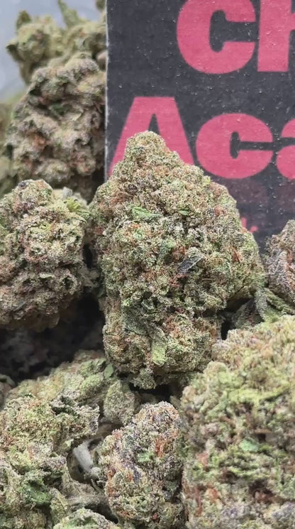 #IP032 - Stone Timber (Indica)