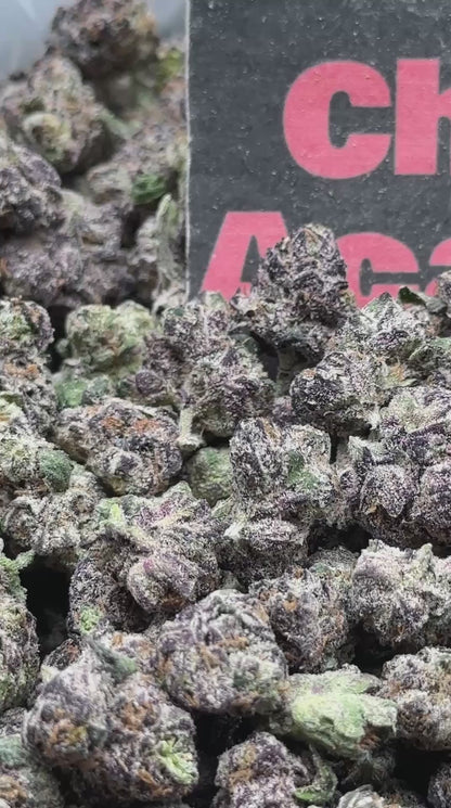 #S004 - Purple Soda SM (Hybrid)