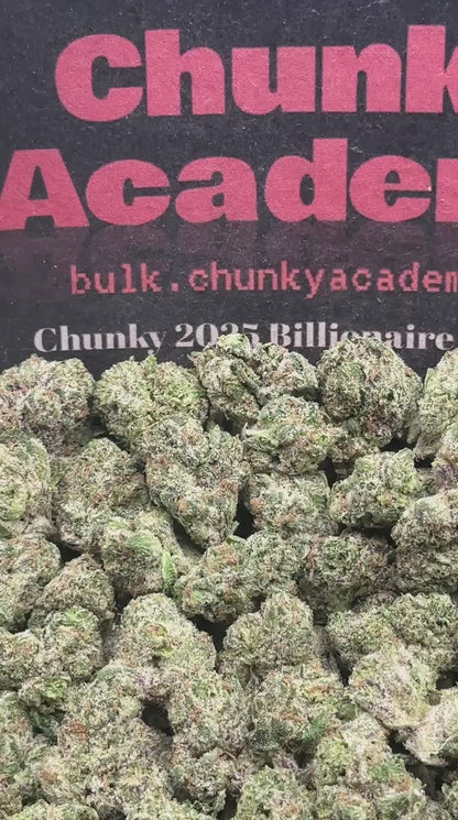 #SS256 - Candy Corn SM (Hybrid)