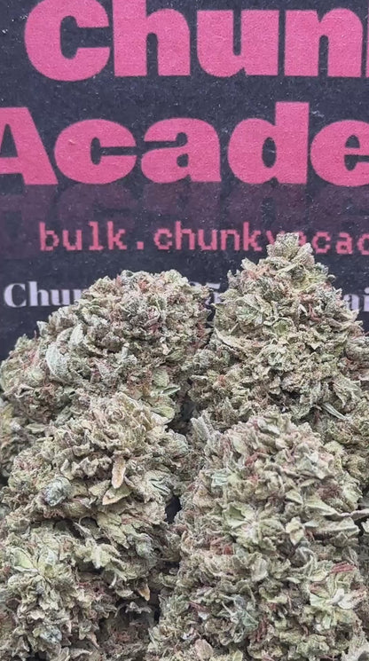 #L552 - Cream Puff (Indica)