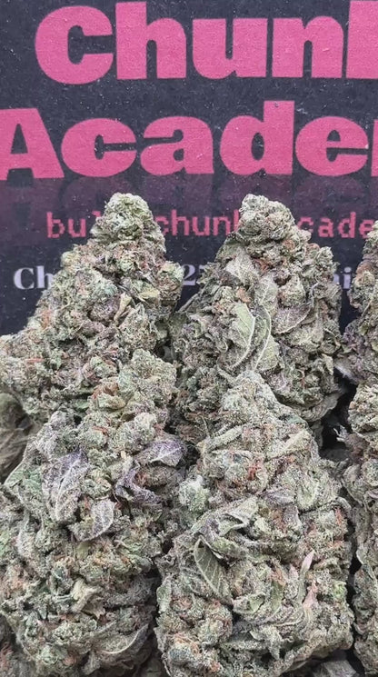 #B852 - Horchata Runtz (Indica)