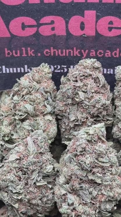 #L570 - Chocolate Taco (Indica Hybrid)