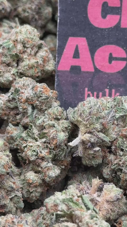 #IP005 - Candy Sherbet (Hybrid)