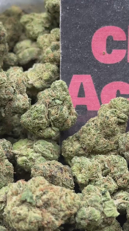 #IP056 -Highland Timber (Sativa)