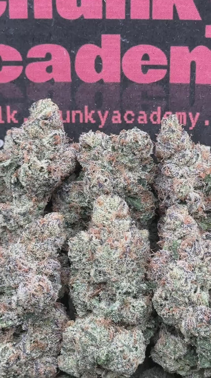 #EA280 - Salt Taffy (Indica)