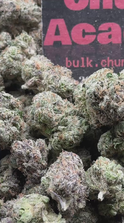#IN729 - Supreme Sherbet (Hybrid)