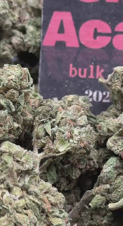 #L001 - Pine Grove (Indica)