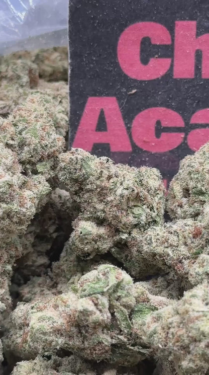 #IP054 -Honey Cream (Hybrid)