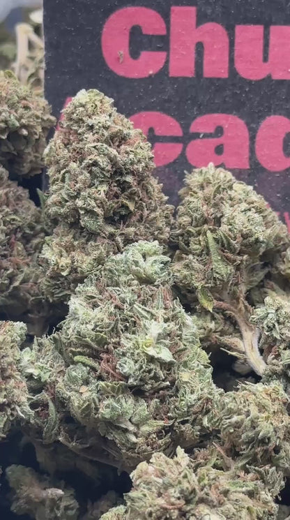 #L010- Alder Creek (Sativa)
