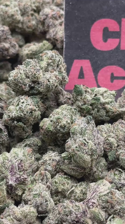 #KAM021 - Toffee Gelato SM (Hybrid)