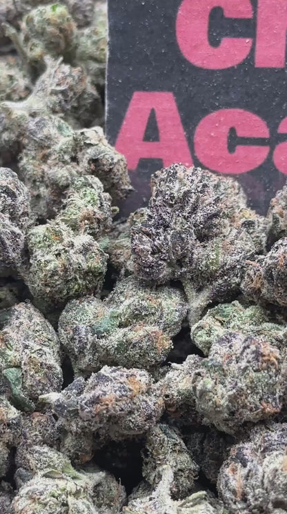 #S025 - Candy Grove II (Indica)