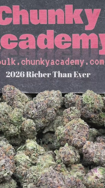 #EA542 - Apple Fritter (Hybrid)