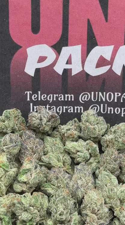 #SS234 - Polar Prism SM (Indica Hybrid)