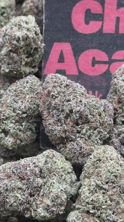 #A030 - Lime Sherbet (Sativa)