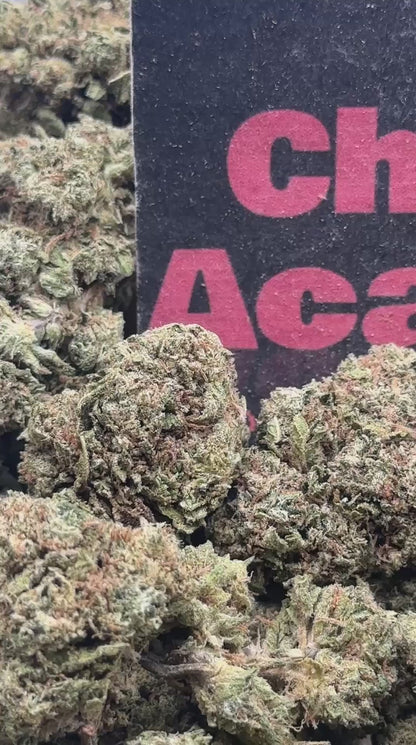 #B036- Birch Bluff (Indica)