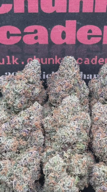 #EA381 - Royal Guava (Hybrid)