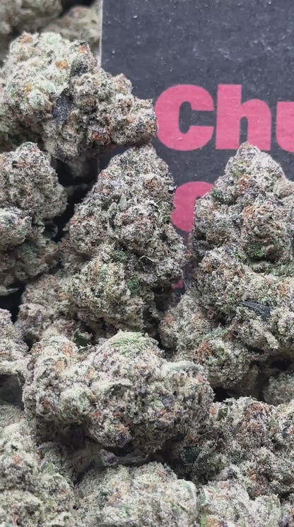 #A119 -Peach Velvet (Hybrid)