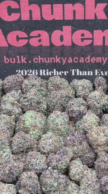 #SS522 - Sweet Pineapple SM(Hybrid)