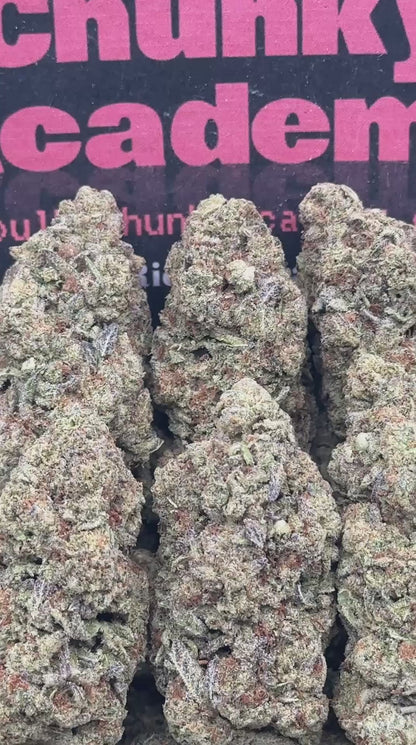 #B961 - Strawberry Poptart (Indica)