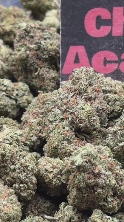 #IP007 - Pine Alloy (Sativa)