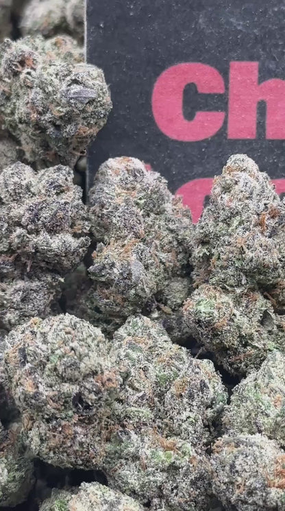 #A107 - Velvet Biscotti (Hybrid)