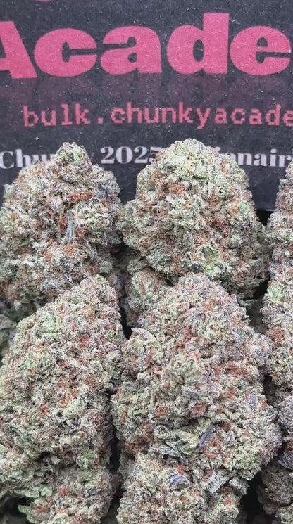 #B888 - Egg Tart (Hybrid)