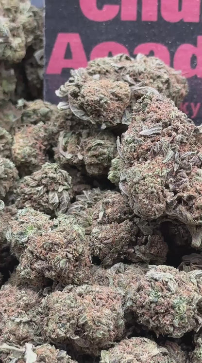 #B001 - Candy Sherbet (Hybrid)