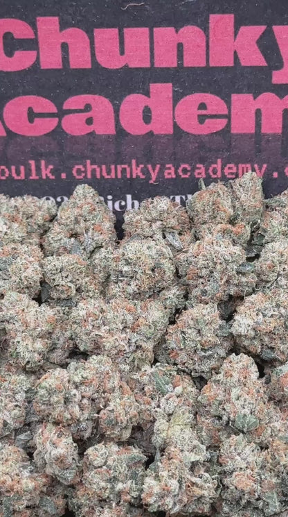 #KAM311 - Sweet Sherbet SM (Hybrid)