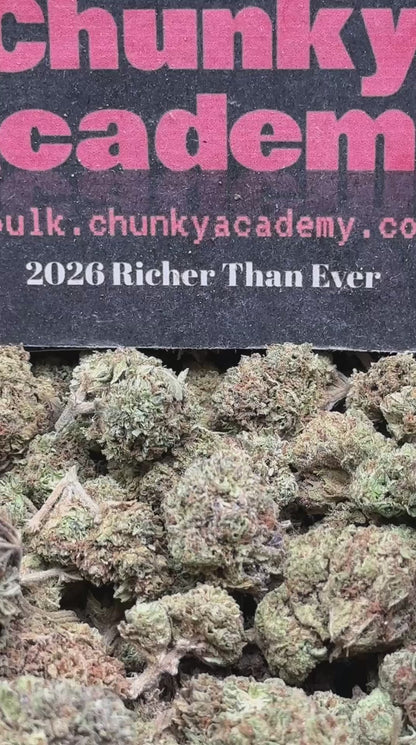 #FK151 - Mango Berry (Hybrid)
