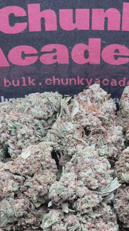 #L577 - Berry Parfait (Hybrid)