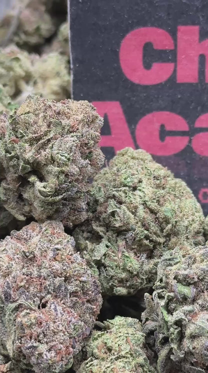 #IP030 - Maple Grove (Indica)