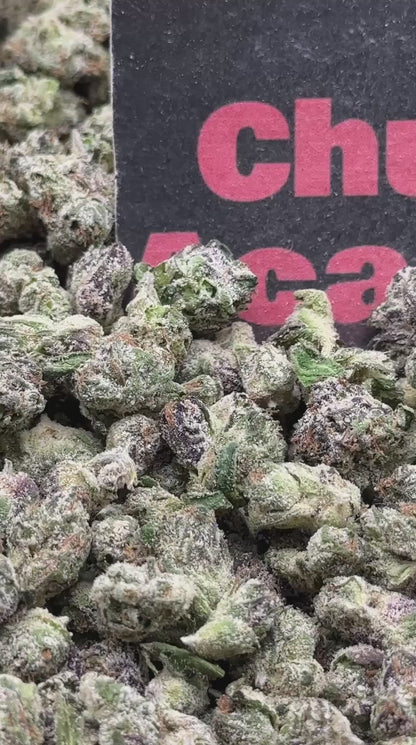 #S053 - Golden Mochi SM (Hybrid)